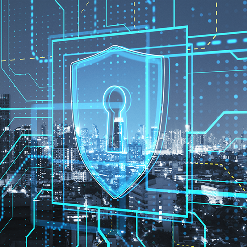 ความปลอดภัยของซอฟต์แวร์